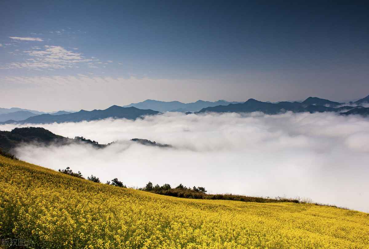 淮南涂塑热浸塑钢管销售