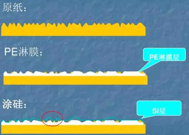 奥仁格管道：科学问答集锦