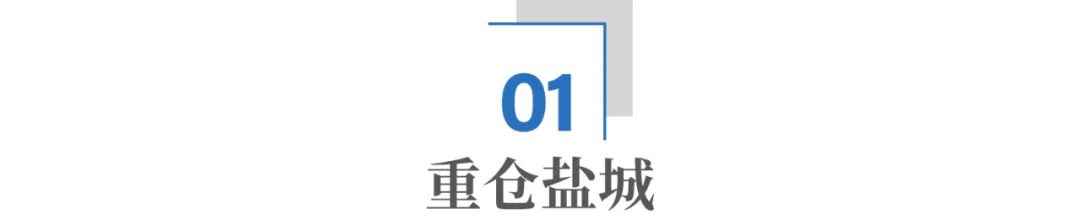 中国11大电力央企，为何全部重仓盐城？