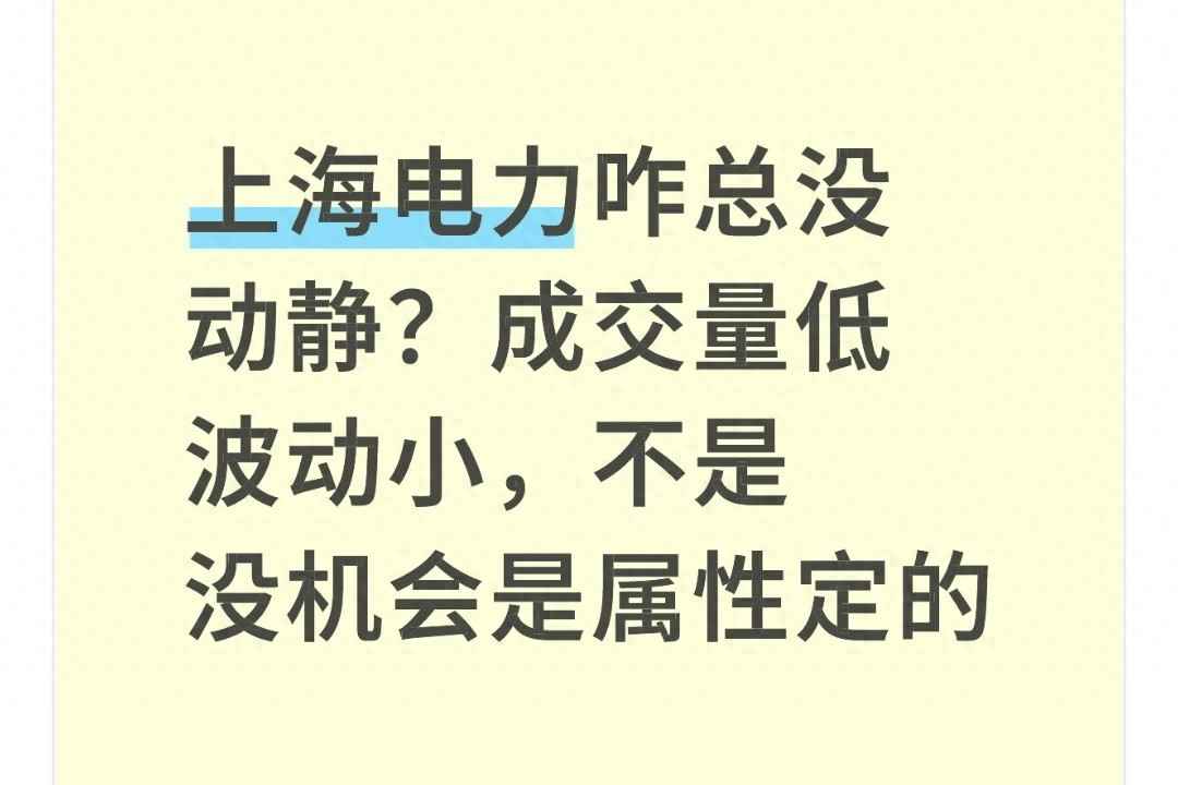 上海PE电力管供应与上海电力股性解析：静水流深下的投资智慧